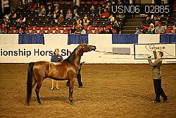 USN06_02885 proof