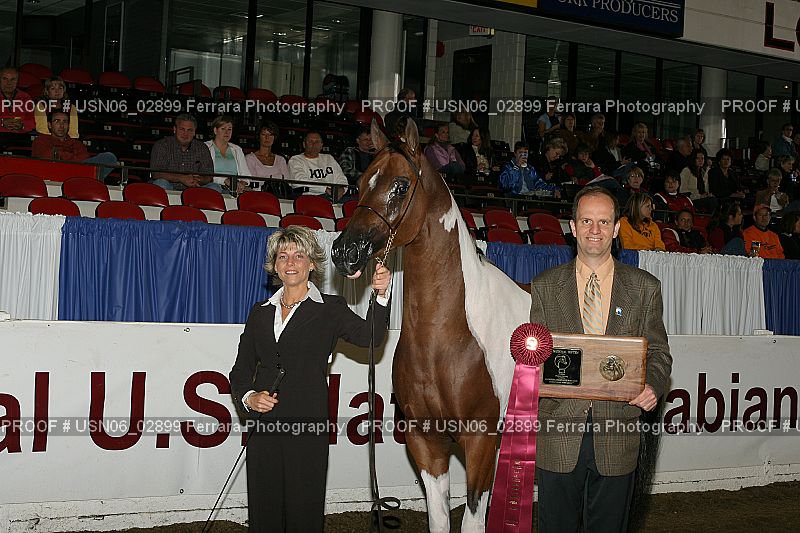 Proof USN06_02899