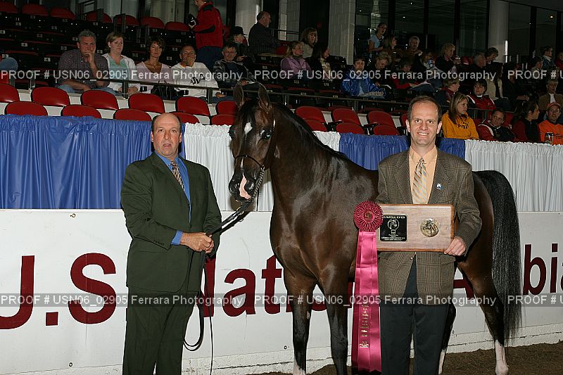 Proof USN06_02905