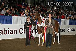 USN06_02909 proof