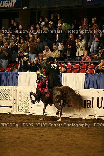 Proof USN06_09109