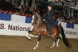 USN06_02285 proof