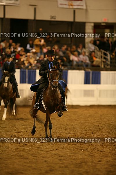 Proof USN06_02313