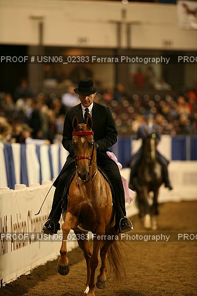 Proof USN06_02383