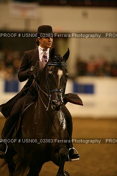 Proof USN06_03383