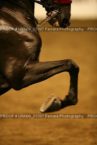 Proof USN06_03397