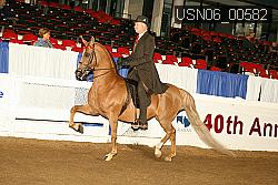 USN06_00582 proof