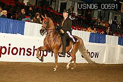 USN06_00591 proof