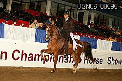 USN06_00595 proof