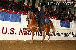 USN06_00599 proof