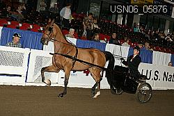 USN06_05876 proof