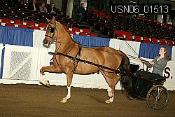 USN06_01513 proof