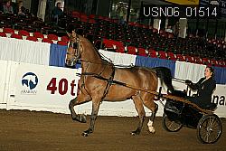 USN06_01514 proof