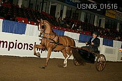 USN06_01516 proof