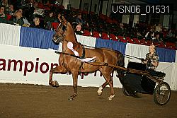 USN06_01531 proof