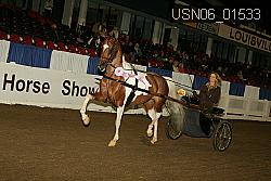 USN06_01533 proof