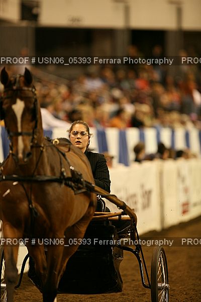 Proof USN06_05393