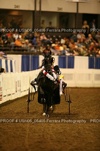 Proof USN06_05405