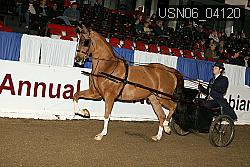 USN06_04120 proof