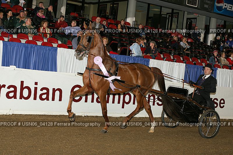 Proof USN06_04128