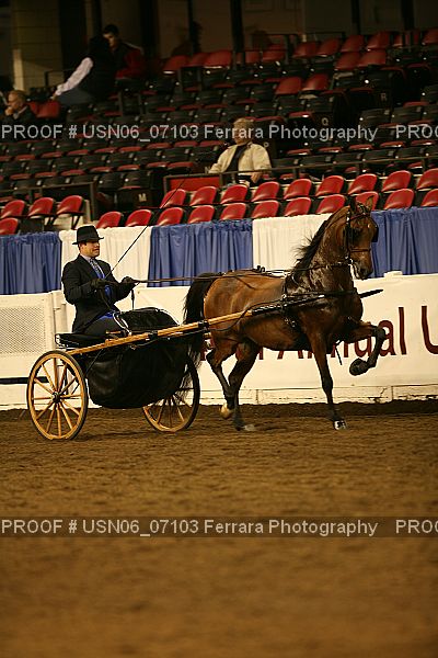 Proof USN06_07103