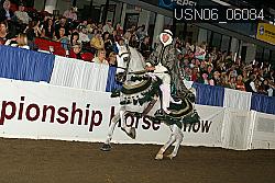 USN06_06084 proof