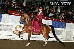 USN06_05786 proof
