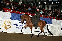 USN06_05791 proof