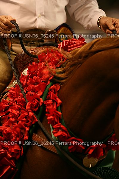 Proof USN06_06245