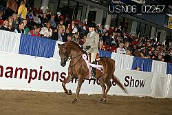 USN06_02257 proof