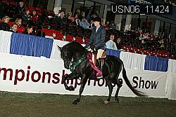 USN06_11424 proof