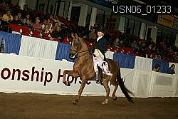USN06_01233 proof