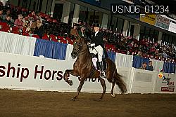 USN06_01234 proof
