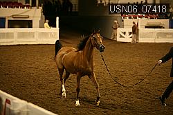 USN06_07418 proof