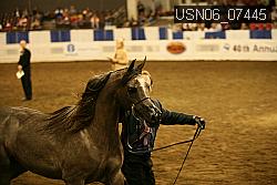 USN06_07445 proof