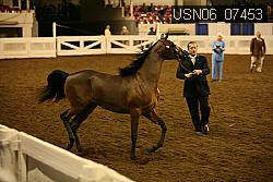 USN06_07453 proof
