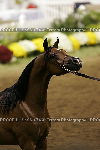 Proof USN06_07468