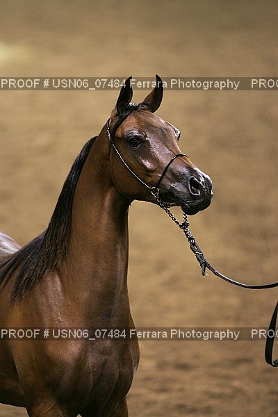 Proof USN06_07484