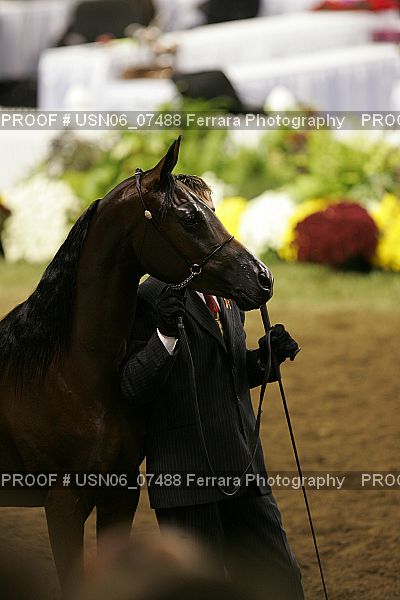 Proof USN06_07488