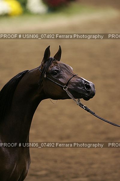 Proof USN06_07492