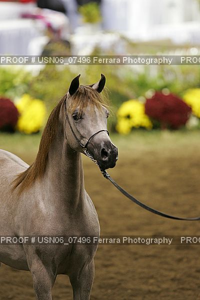 Proof USN06_07496