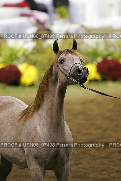 Proof USN06_07498