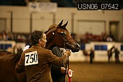 USN06_07542 proof