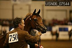 USN06_07544 proof