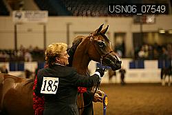 USN06_07549 proof