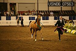 USN06_07563 proof