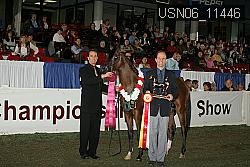 USN06_11446 proof