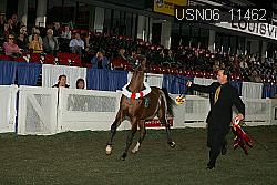USN06_11462 proof