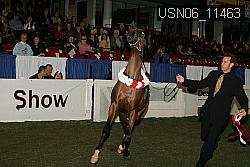 USN06_11463 proof