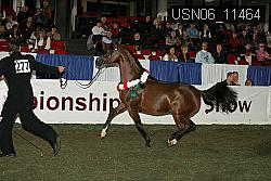 USN06_11464 proof
